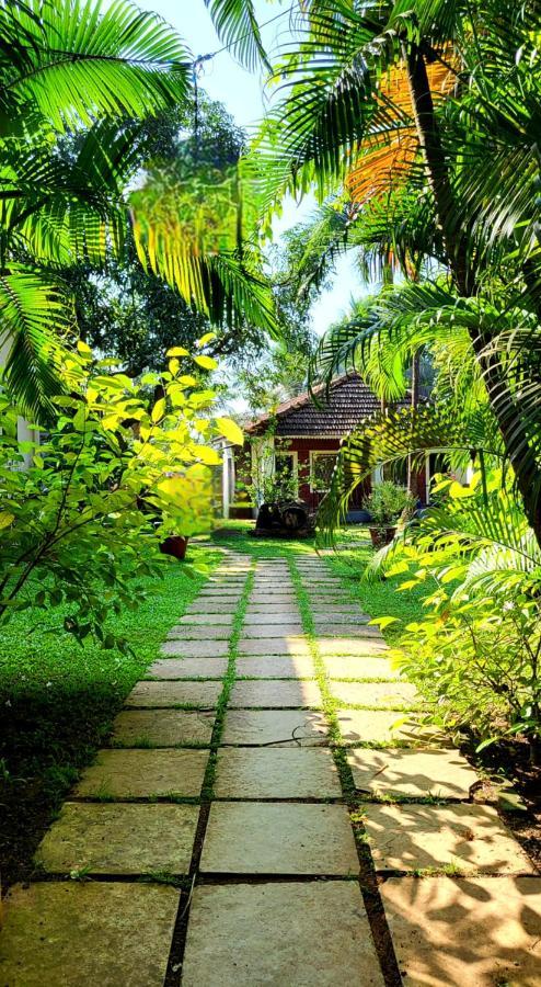 Garden Villa 瓦加托 外观 照片